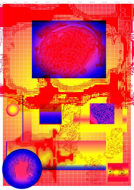 Tamara Knapp (Deutschland)